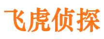 凉城外遇出轨调查取证